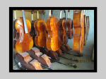 cello store 4.jpg